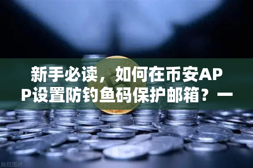 新手必读，如何在币安APP设置防钓鱼码保护邮箱？一篇讲透安全操作