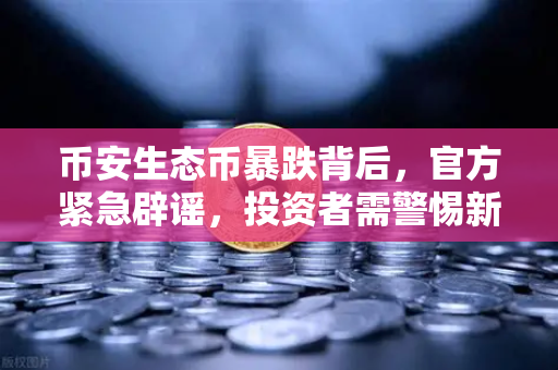 币安生态币暴跌背后，官方紧急辟谣，投资者需警惕新项目预警