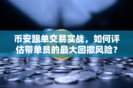 币安跟单交易实战，如何评估带单员的最大回撤风险？