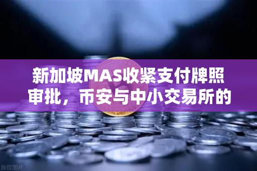 新加坡MAS收紧支付牌照审批，币安与中小交易所的生存困局