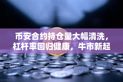 币安合约持仓量大幅清洗，杠杆率回归健康，牛市新起点？
