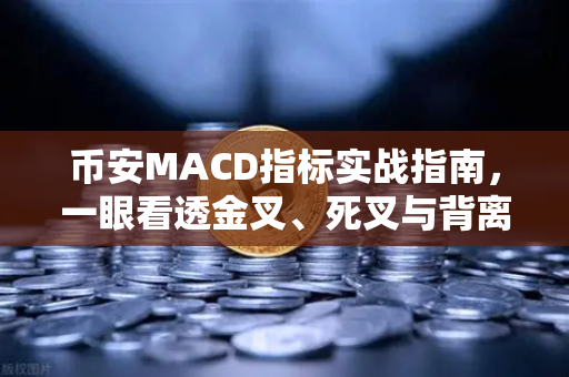 币安MACD指标实战指南，一眼看透金叉、死叉与背离的财富密码