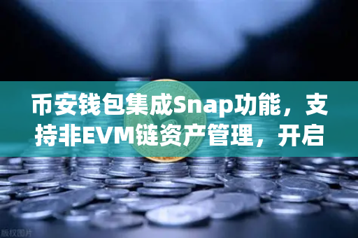 币安钱包集成Snap功能，支持非EVM链资产管理，开启多链生态新篇章