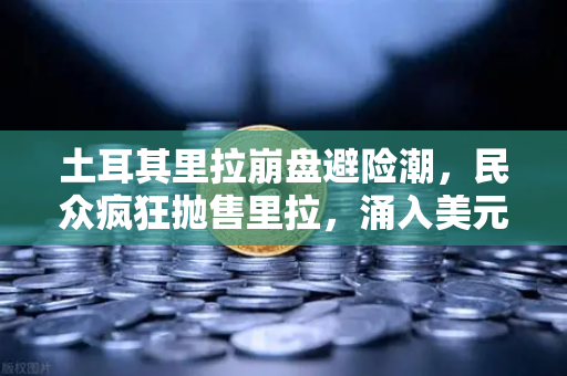 土耳其里拉崩盘避险潮，民众疯狂抛售里拉，涌入美元和比特币保值，币安平台交易量激增