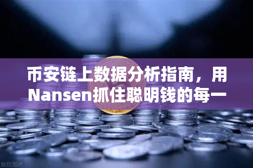 币安链上数据分析指南,用Nansen抓住聪明钱的每一步-第1张图片-币安Binance 币安链上数据分析指南,用Nansen抓住聪明钱的每一步-第1张图片-币安Binance