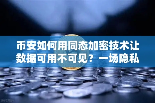 币安如何用同态加密技术让数据可用不可见？一场隐私计算的革命