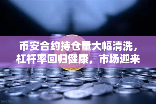 币安合约持仓量大幅清洗，杠杆率回归健康，市场迎来新拐点？
