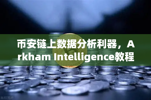 币安链上数据分析利器，Arkham Intelligence教程，可视化追踪资金流向