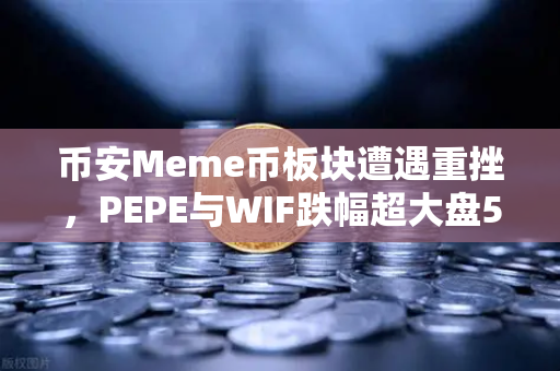 币安Meme币板块遭遇重挫，PEPE与WIF跌幅超大盘50%抄底时机还是风险预警？