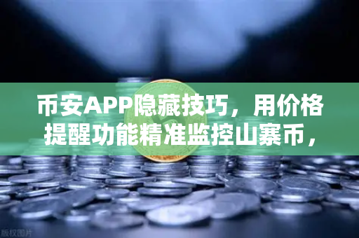 币安APP隐藏技巧，用价格提醒功能精准监控山寨币，告别踏空与套牢