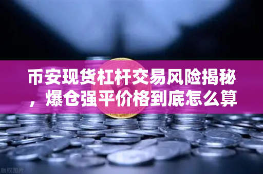 币安现货杠杆交易风险揭秘，爆仓强平价格到底怎么算？别等亏光了才明白！