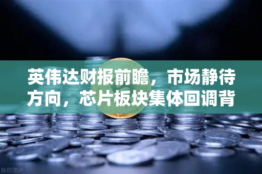 英伟达财报前瞻，市场静待方向，芯片板块集体回调背后的真相-第1张图片-币安Binance