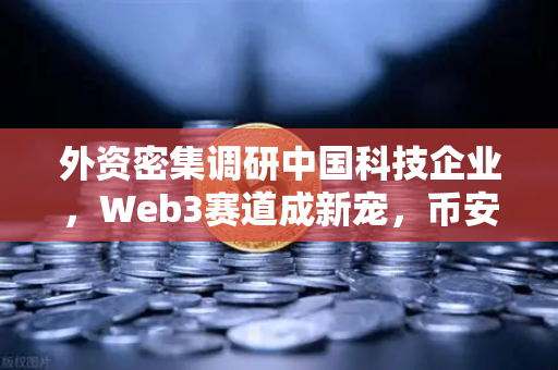 外资密集调研中国科技企业，Web3赛道成新宠，币安生态备受瞩目