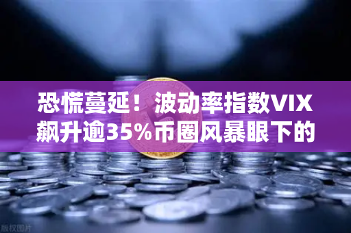 恐慌蔓延！波动率指数VIX飙升逾35%币圈风暴眼下的币安如何破局？