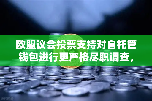 欧盟议会投票支持对自托管钱包进行更严格尽职调查，对币安用户的深远影响与应对策略