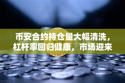 币安合约持仓量大幅清洗,杠杆率回归健康,市场迎来新周期?-第1张图片-币安Binance 币安合约持仓量大幅清洗,杠杆率回归健康,市场迎来新周期?-第1张图片-币安Binance