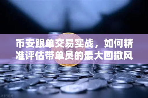 币安跟单交易实战,如何精准评估带单员的最大回撤风险?掌握这5步,告别爆仓焦虑-第1张图片-币安Binance 币安跟单交易实战,如何精准评估带单员的最大回撤风险?掌握这5步,告别爆仓焦虑-第1张图片-币安Binance