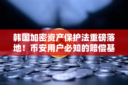韩国加密资产保护法重磅落地！币安用户必知的赔偿基金新规