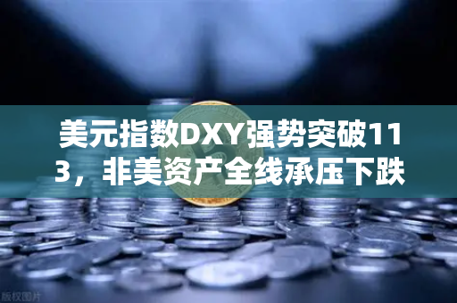 美元指数DXY强势突破113，非美资产全线承压下跌，币安投资者的避险与机遇