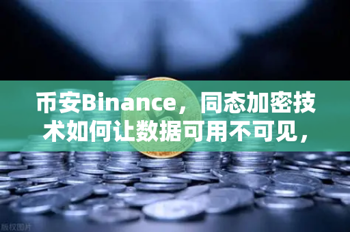 币安Binance，同态加密技术如何让数据可用不可见，彻底解决隐私痛点