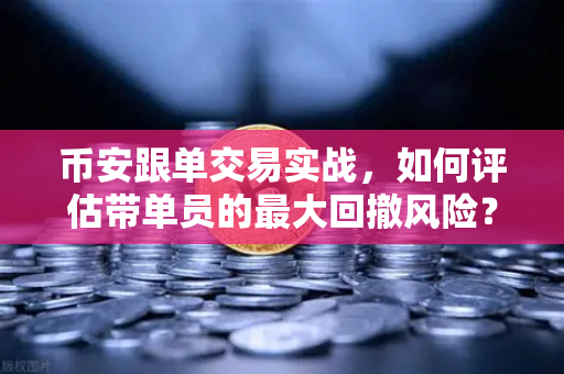 币安跟单交易实战，如何评估带单员的最大回撤风险？从新手到老手的避坑指南