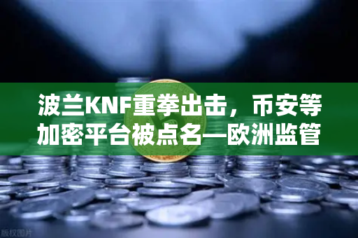 波兰KNF重拳出击，币安等加密平台被点名—欧洲监管风暴下，投资者何去何从？