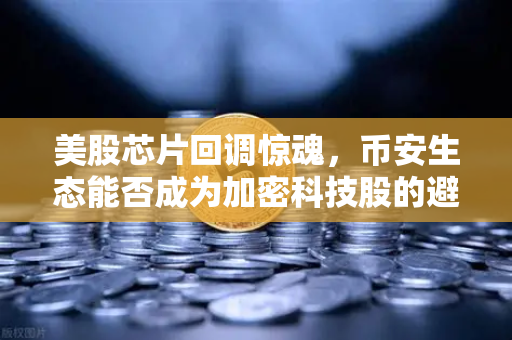 美股芯片回调惊魂，币安生态能否成为加密科技股的避风港？