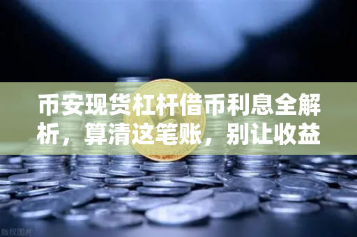 币安现货杠杆借币利息全解析，算清这笔账，别让收益被息走