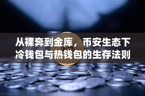 从裸奔到金库，币安生态下冷钱包与热钱包的生存法则，以及OneKey的深度体验