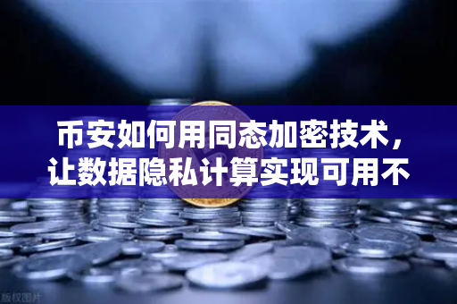 币安如何用同态加密技术，让数据隐私计算实现可用不可见
