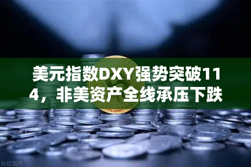 美元指数DXY强势突破114，非美资产全线承压下跌—币安投资者如何应对？