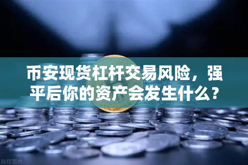 币安现货杠杆交易风险，强平后你的资产会发生什么？深度解析与避坑指南