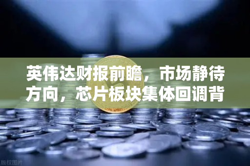 英伟达财报前瞻，市场静待方向，芯片板块集体回调背后的真相