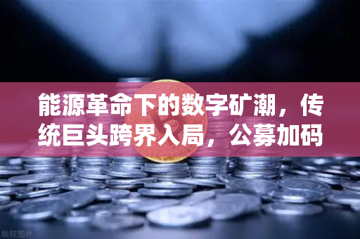能源革命下的数字矿潮，传统巨头跨界入局，公募加码全产业链布局