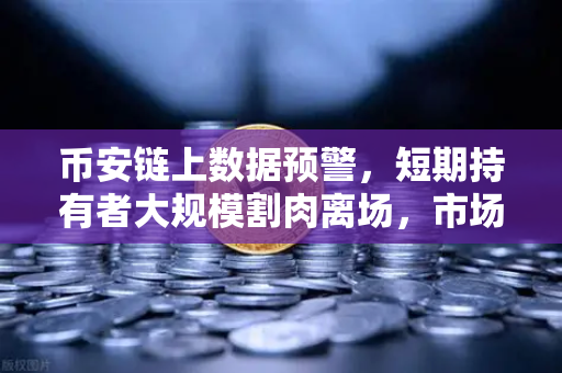 币安链上数据预警，短期持有者大规模割肉离场，市场底部信号已现？