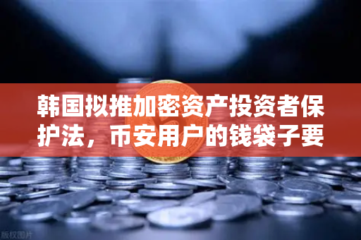 韩国拟推加密资产投资者保护法，币安用户的钱袋子要系紧了？