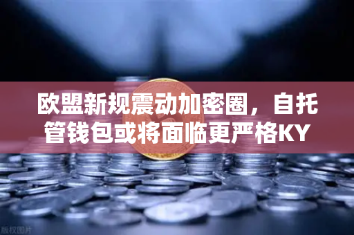 欧盟新规震动加密圈，自托管钱包或将面临更严格KYC，币安用户该何去何从？