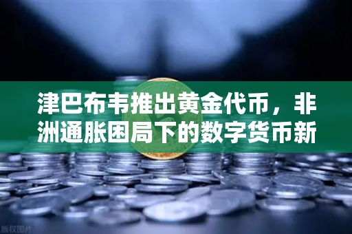 津巴布韦推出黄金代币，非洲通胀困局下的数字货币新实验