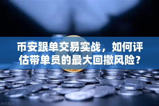 币安跟单交易实战，如何评估带单员的最大回撤风险？从新手到高手的风控指南