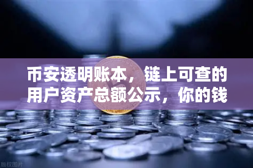 币安透明账本，链上可查的用户资产总额公示，你的钱真的安全吗？-第1张图片-币安Binance