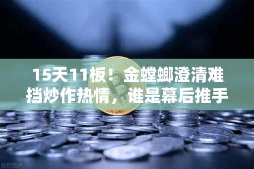 15天11板！金螳螂澄清难挡炒作热情，谁是幕后推手？游资手法深度解析