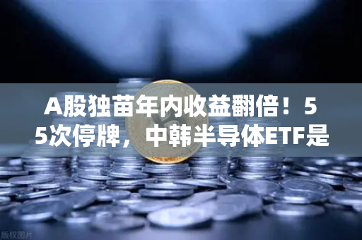 A股独苗年内收益翻倍！55次停牌，中韩半导体ETF是机会还是坑？附币安Binance深度观察