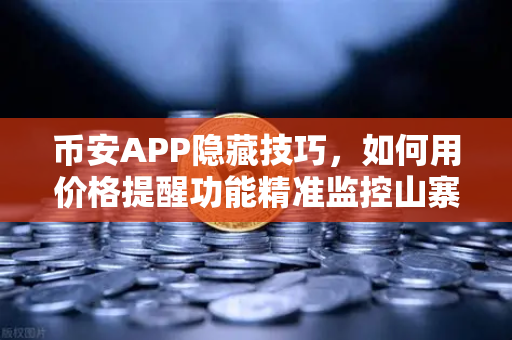 币安APP隐藏技巧，如何用价格提醒功能精准监控山寨币，避免错过暴涨？