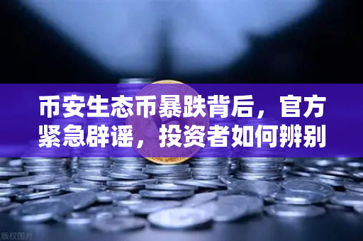 币安生态币暴跌背后，官方紧急辟谣，投资者如何辨别真假项目？