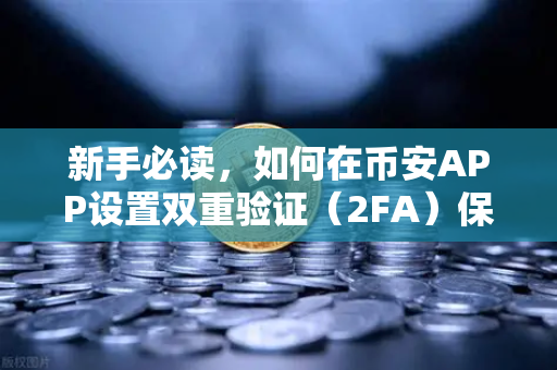 新手必读，如何在币安APP设置双重验证（2FA）保障账户安全的完整指南