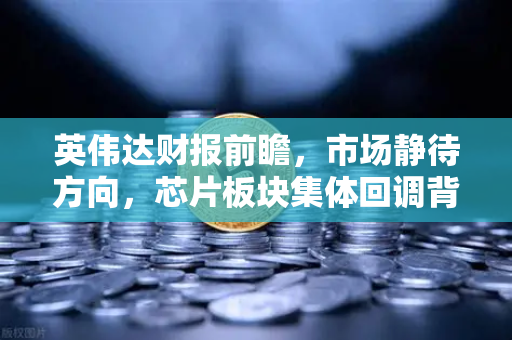 英伟达财报前瞻，市场静待方向，芯片板块集体回调背后的真相