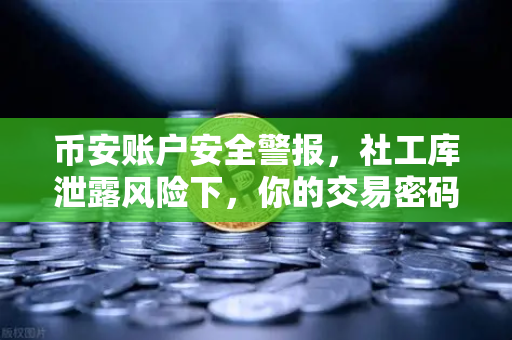 币安账户安全警报，社工库泄露风险下，你的交易密码与绑定手机还安全吗？