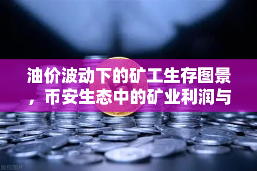 油价波动下的矿工生存图景，币安生态中的矿业利润与突围之路