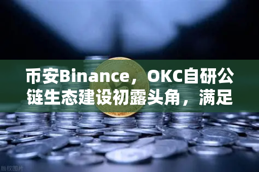币安Binance，OKC自研公链生态建设初露头角，满足用户多种加密数字资产业务需求