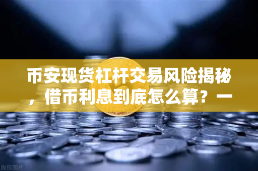 币安现货杠杆交易风险揭秘,借币利息到底怎么算?一文讲透-第1张图片-币安Binance 币安现货杠杆交易风险揭秘,借币利息到底怎么算?一文讲透-第1张图片-币安Binance